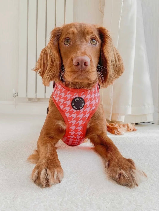 Pink & Red Houndstooth Harness