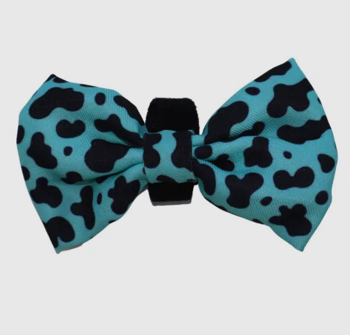 Teal Cow Print Bowtie