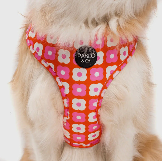 Pink Checkered Daisies Harness