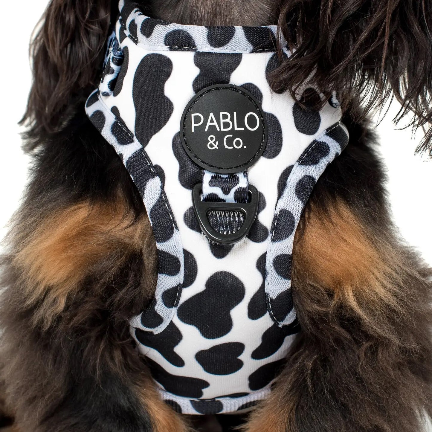 Cow Print Harness